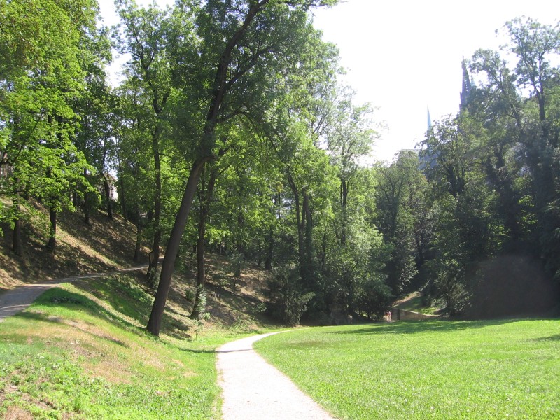 Pathways in Deer Moat