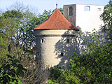 Famous Daliborka Tower